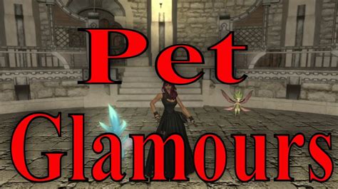 ffxiv pet glam.